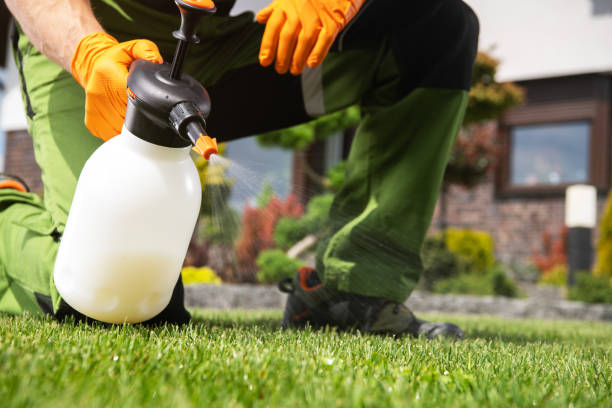 Best Wildlife Control Services  in Salem, UT