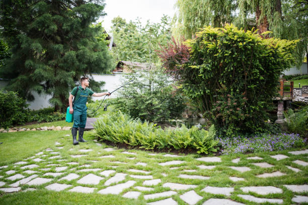 Best Best Pest Control Companies  in Salem, UT