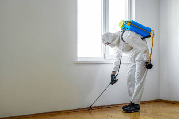 Best Affordable Pest Control Services  in Salem, UT