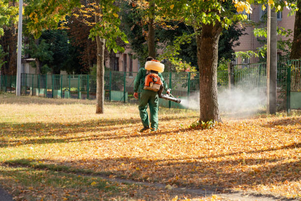 Best Mosquito Control Services  in Salem, UT