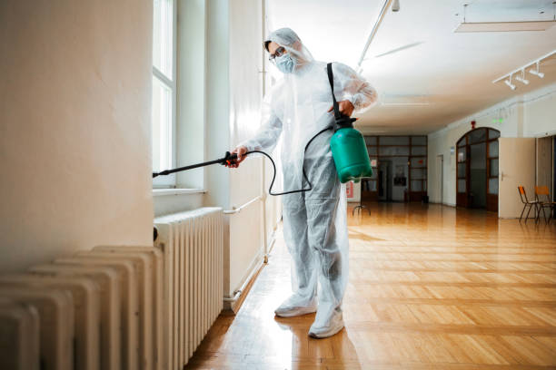 Best Residential Pest Control  in Salem, UT