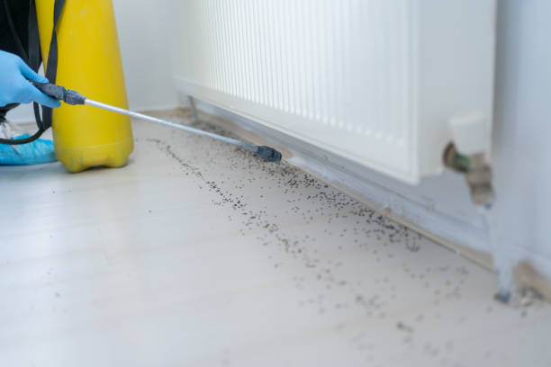 Best Affordable Exterminators  in Salem, UT