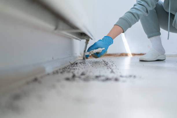 Best Emergency Pest Control  in Salem, UT